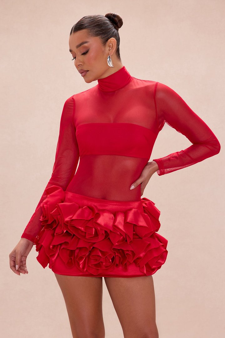 Karolina Sheer Floral Applique Mini Dress - Red
