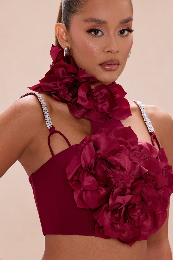 Raven Floral Applique Crop Top - Wine
