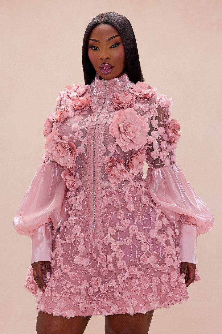 Raven Sheer Embroidered Mini Dress - Rose