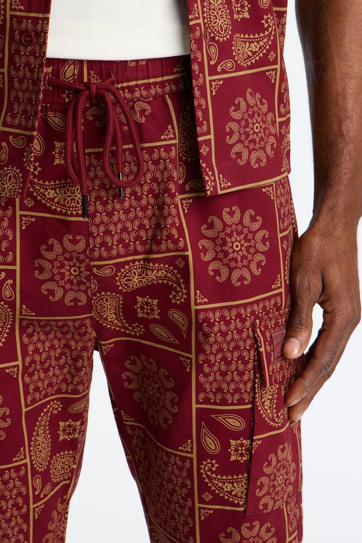 Slim Clinton Hill Mosaic Twill Cargo Pant - Burgundy
