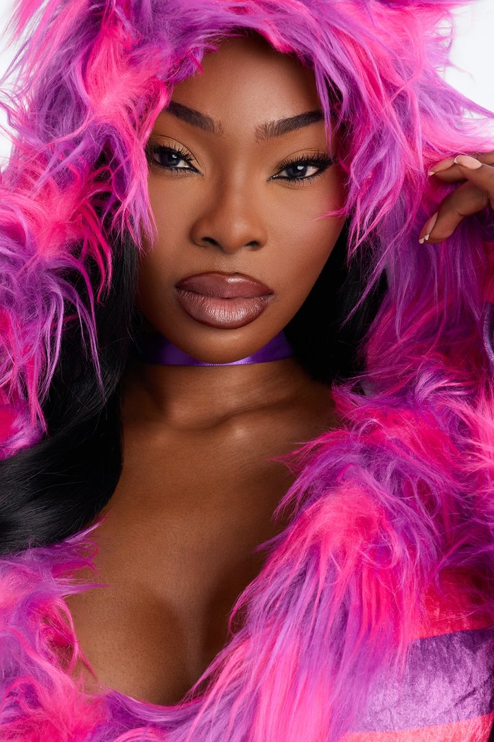 Magic Fantasy Kitty 4 Piece Costume Set - Pink
