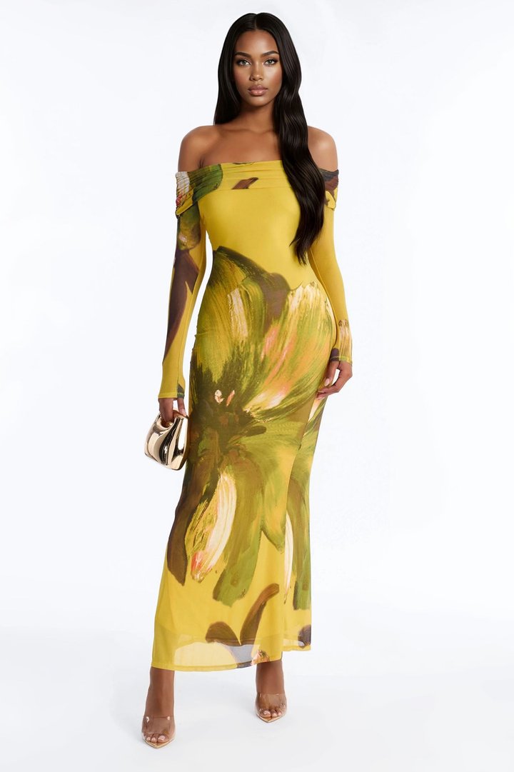 Jennifer Floral Mesh Maxi Dress - Yellow/combo