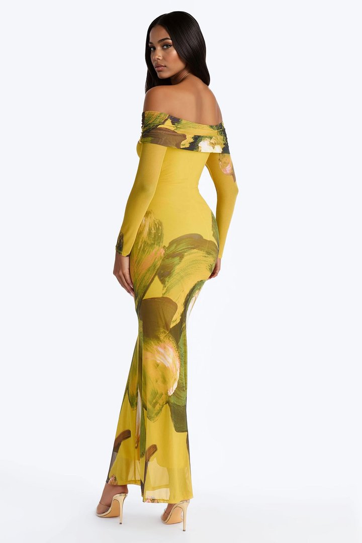 Jennifer Floral Mesh Maxi Dress - Yellow/combo