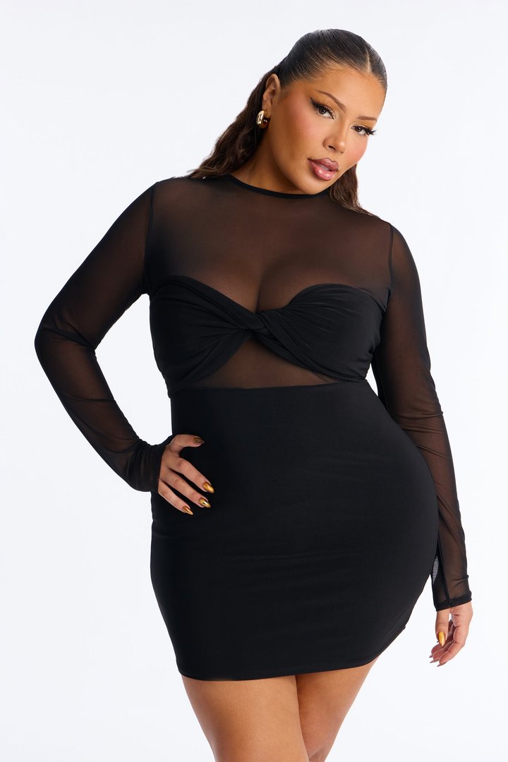 All I Need Sheer Mesh Mini Dress - Black
