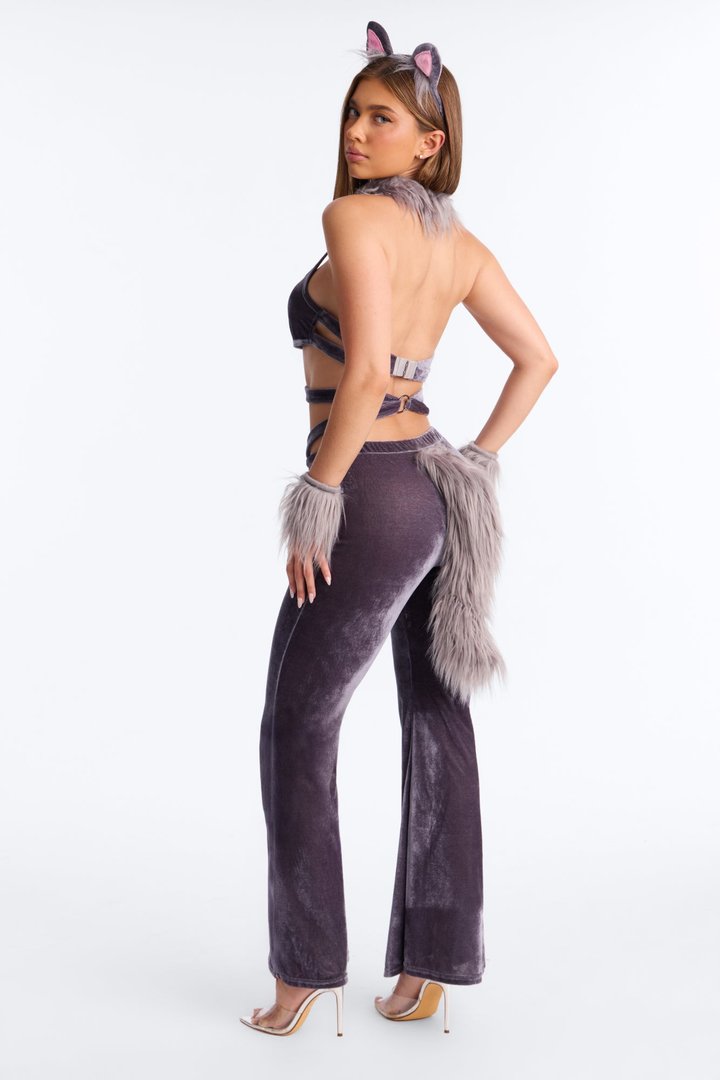 Alpha Attraction 5 Piece Costume Set - Grey