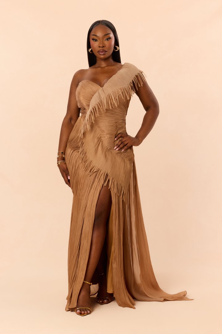Classy Night Organza Gown - Bronze