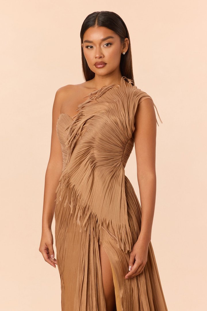 Classy Night Organza Gown - Bronze