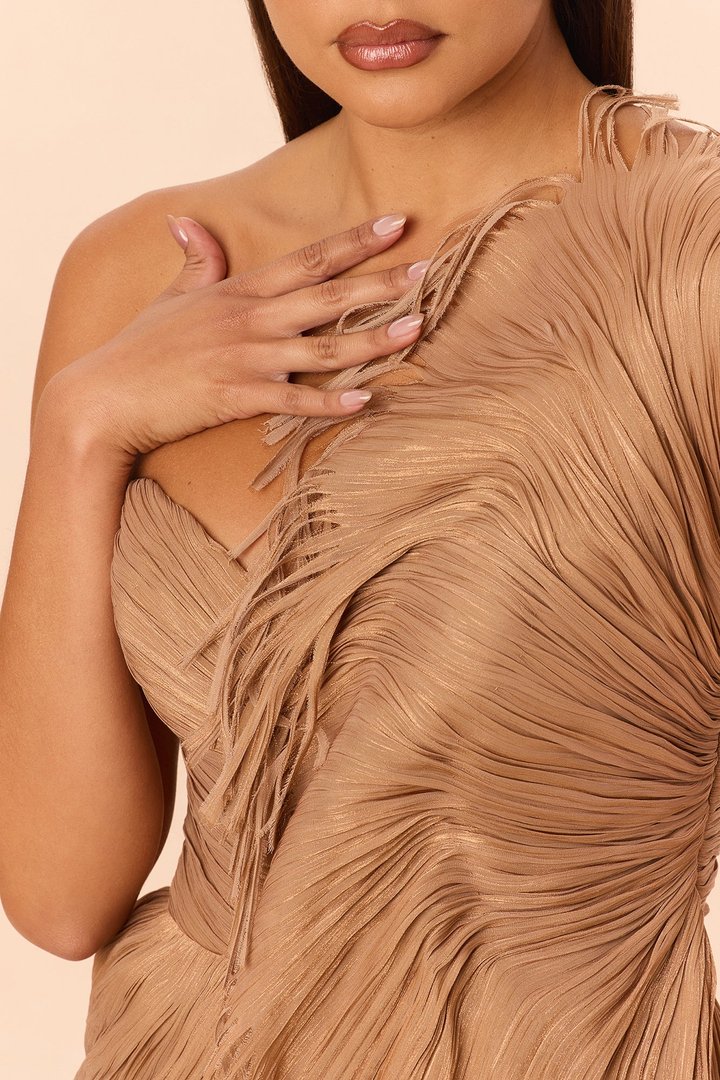 Classy Night Organza Gown - Bronze