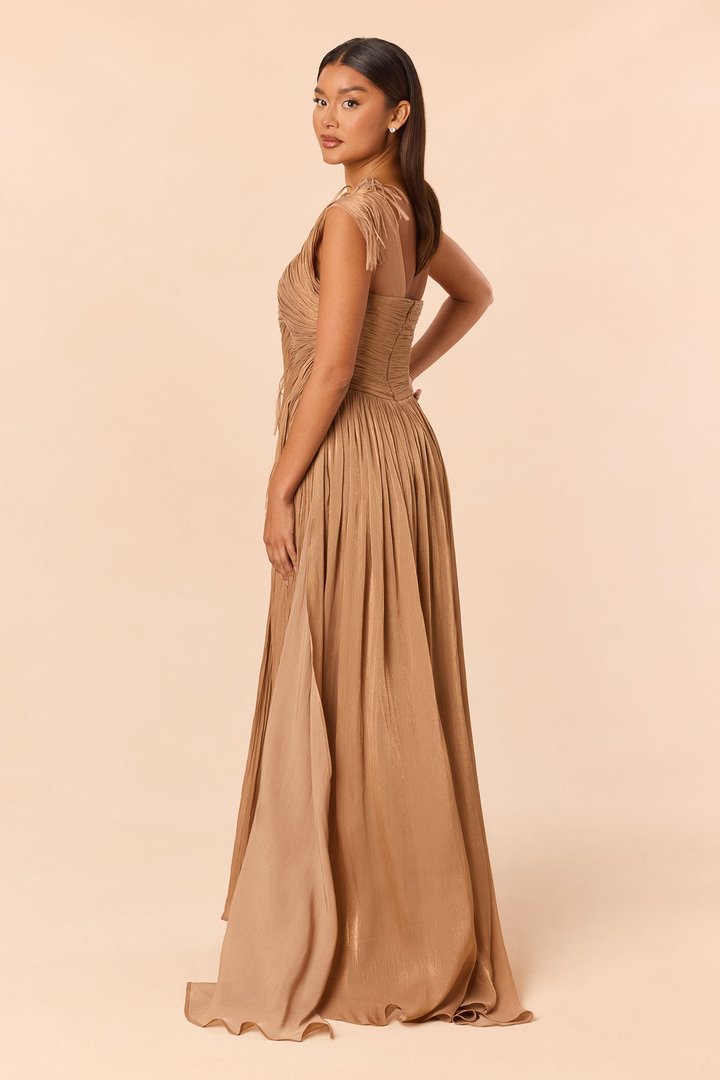Classy Night Organza Gown - Bronze