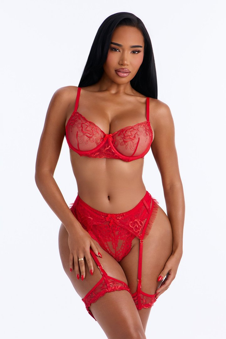 Alessia Mesh Lace 4 Piece Bra & Panty Garter Set - Red