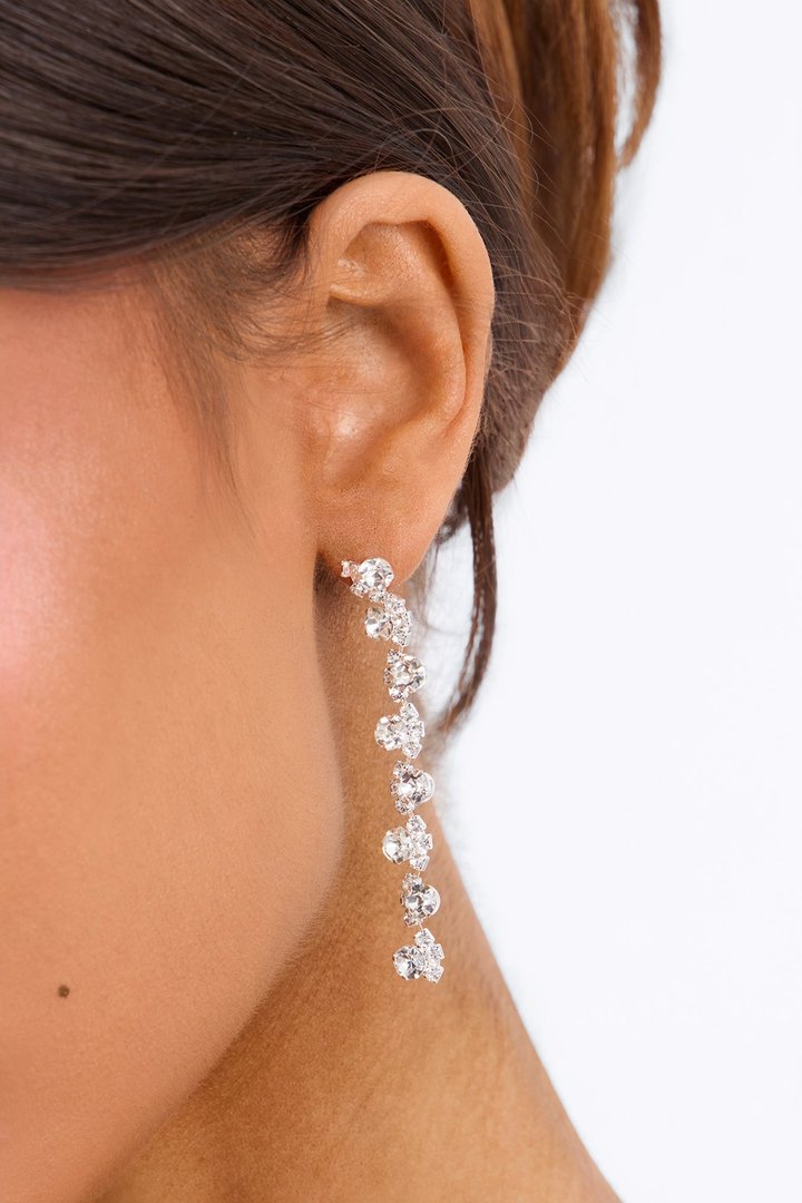Night Essence Drop Earrings - Silver
