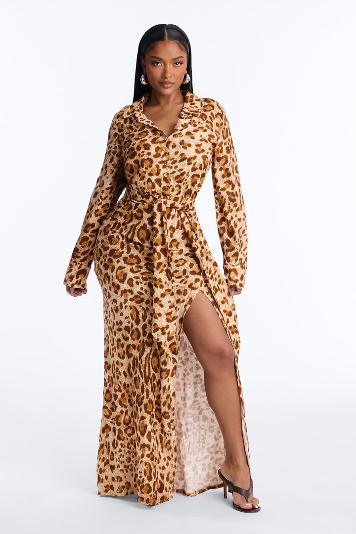 Naturally Wild Long Sleeve Maxi Dress - Leopard