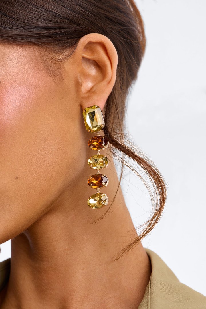Lost Interest Drop Earrings - Brown/combo