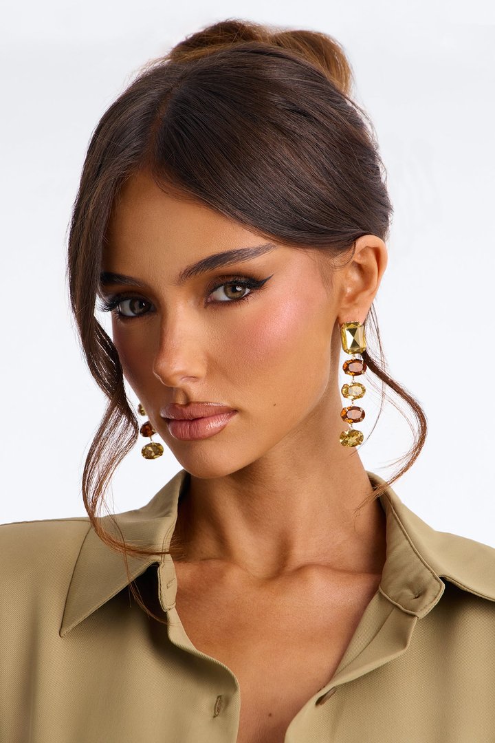 Lost Interest Drop Earrings - Brown/combo