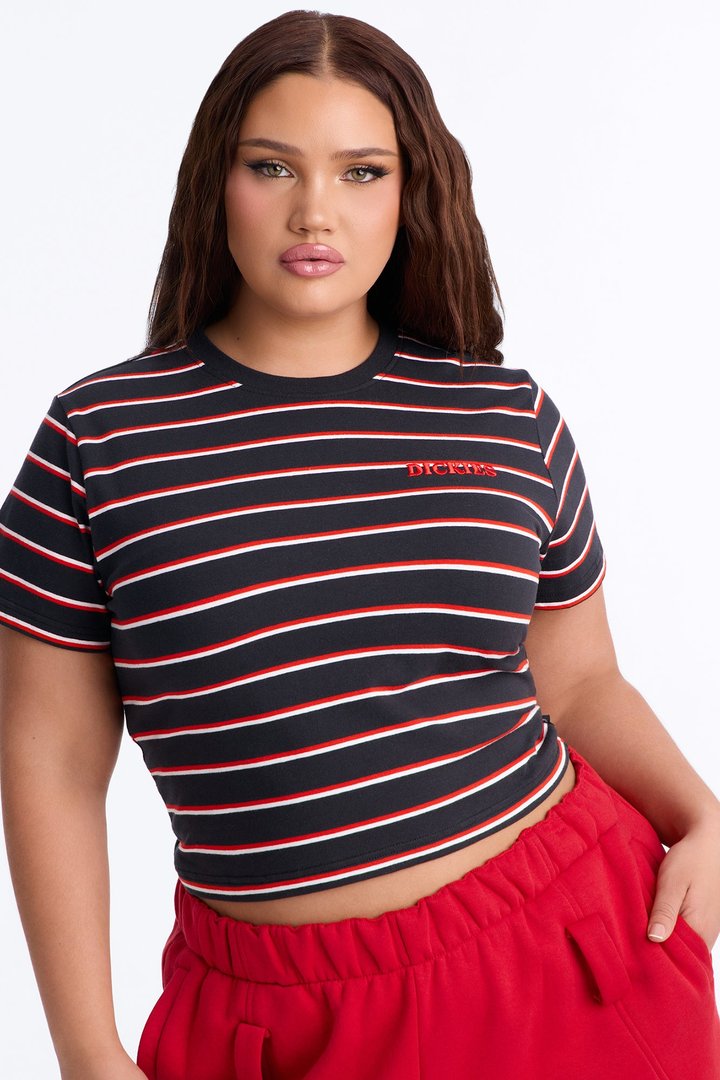 Dickies Striped Embroidered Tee - Black