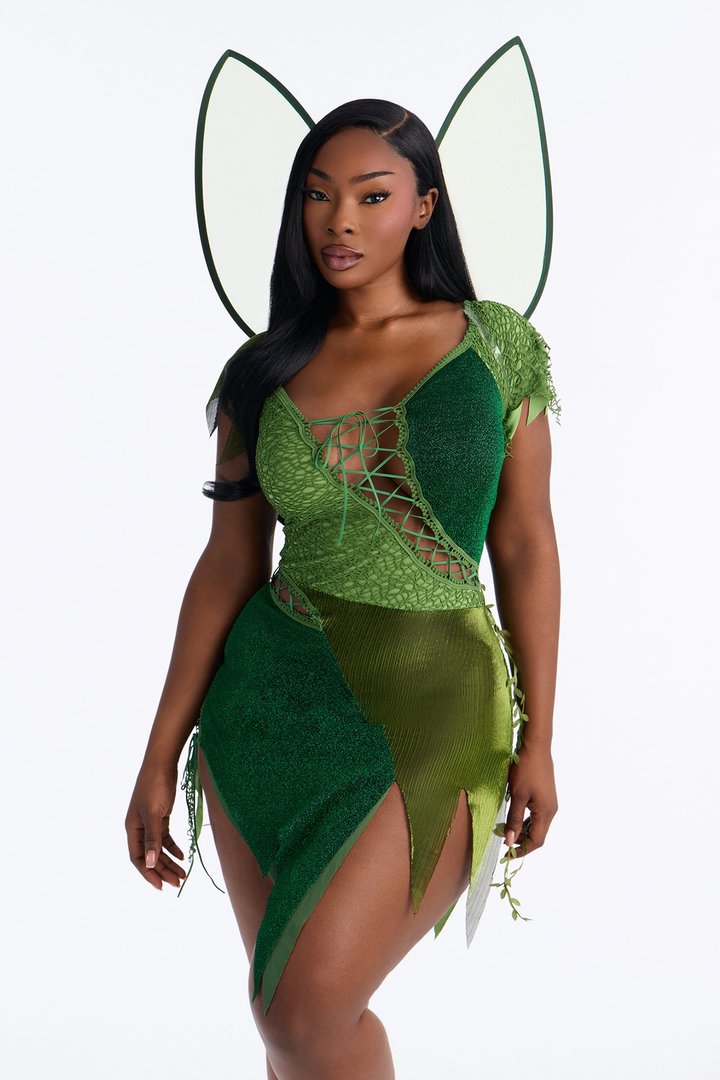 Sassy Fairy 2 Piece Costume Set - Green