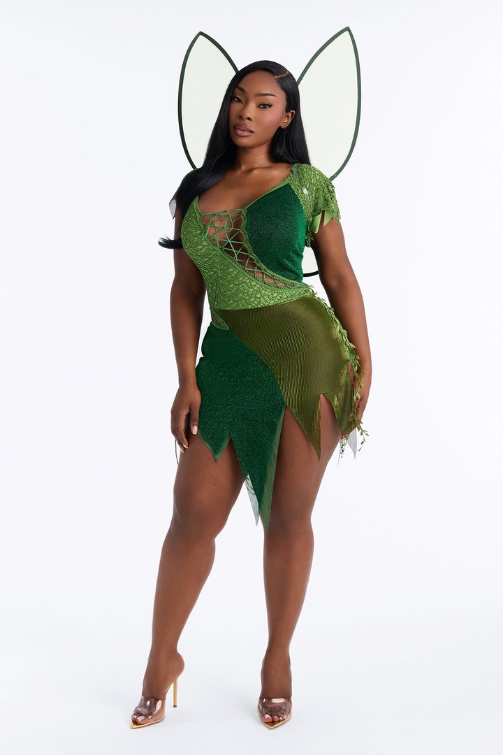 Sassy Fairy 2 Piece Costume Set - Green