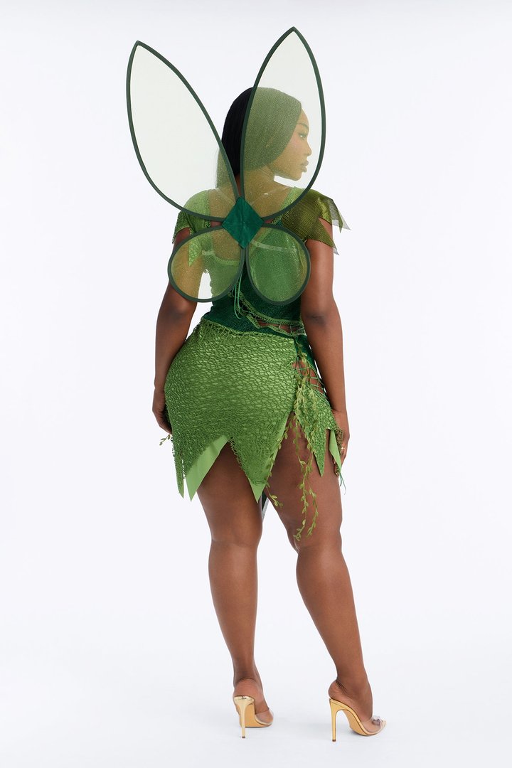 Sassy Fairy 2 Piece Costume Set - Green
