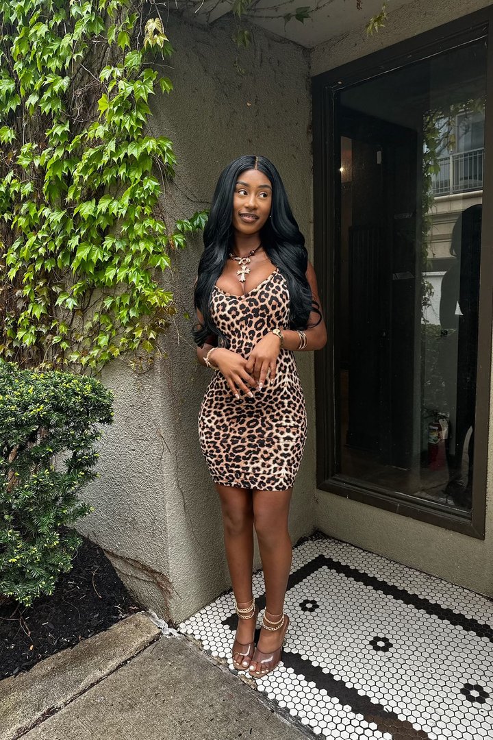 Remmie Leopard Mini Dress - Brown/combo