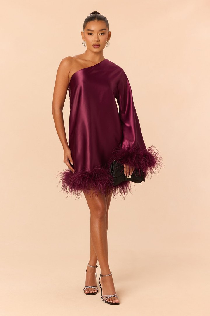 Jacqueline Feathered One Shoulder Satin Mini Dress - Wine