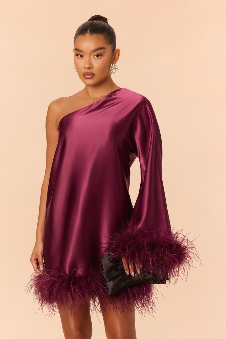 Jacqueline Feathered One Shoulder Satin Mini Dress - Wine