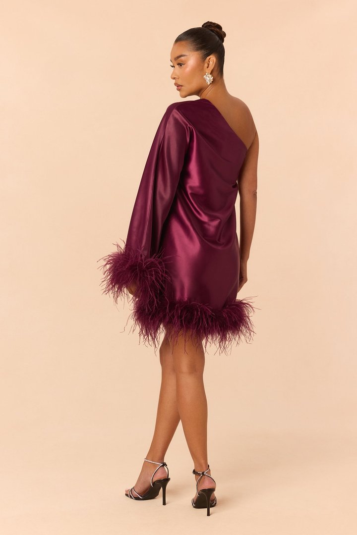 Jacqueline Feathered One Shoulder Satin Mini Dress - Wine