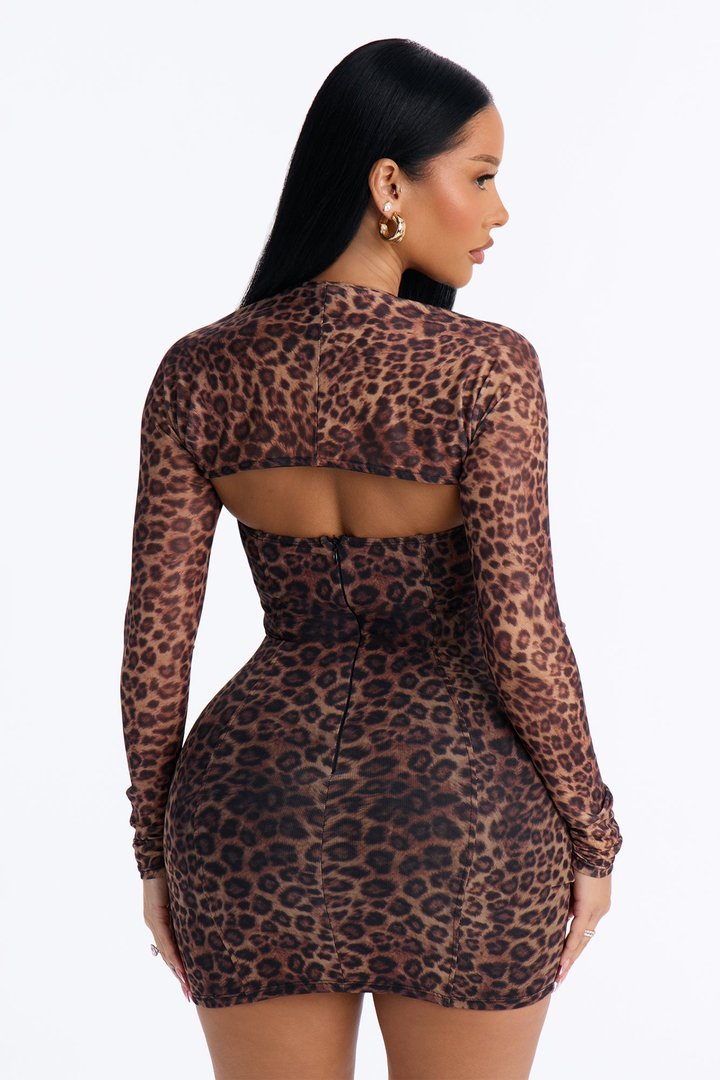 Leona Mesh Mini Dress Set - Brown/combo