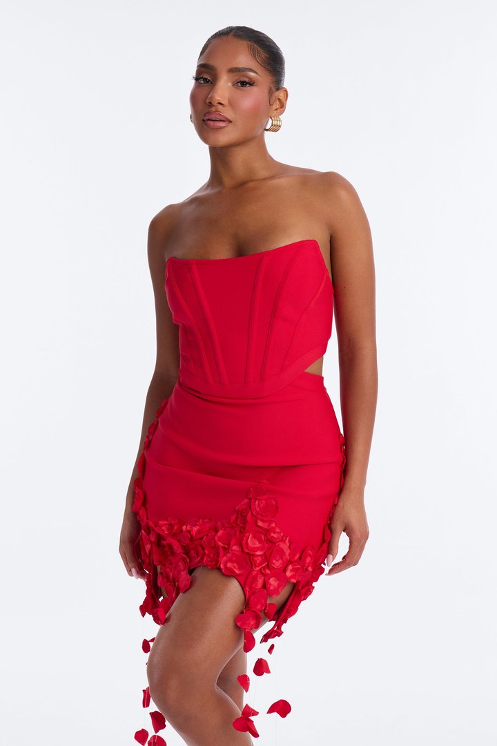 A Bed Of Roses Draped Bandage Mini Dress - Red