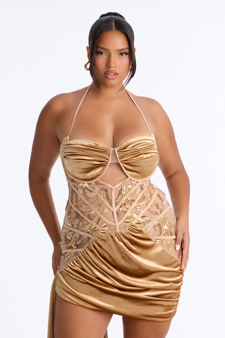 Secret Romance Embellished Mini Dress - Champagne