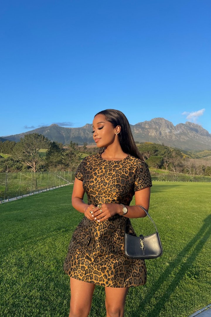 Brielle Leopard Mini Dress - Leopard