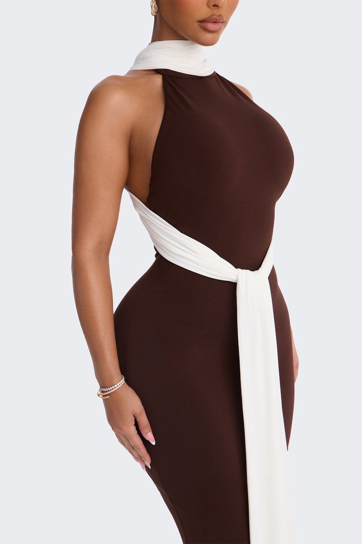 Nicole Colorblock Maxi Dress - Brown/combo