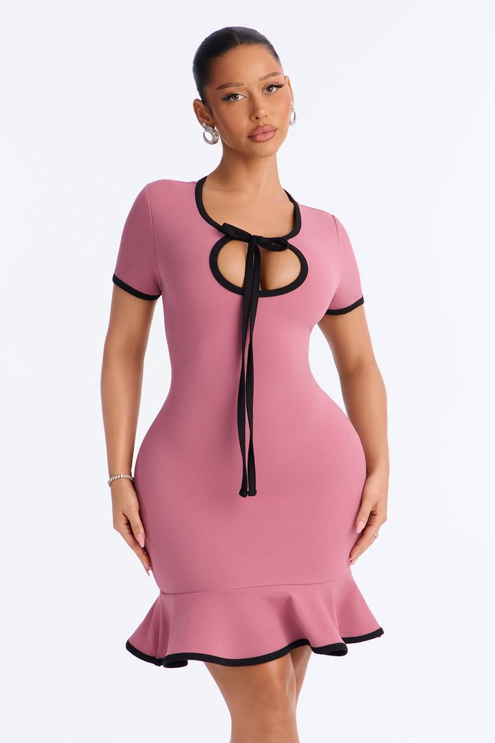 Set The Bar Short Sleeve Mini Dress - Mauve