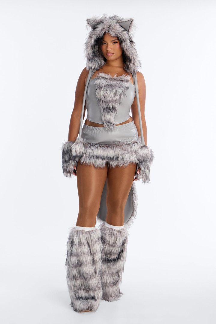 Baby It's Cold Outside 5 Piece Costume Set - Grey/combo