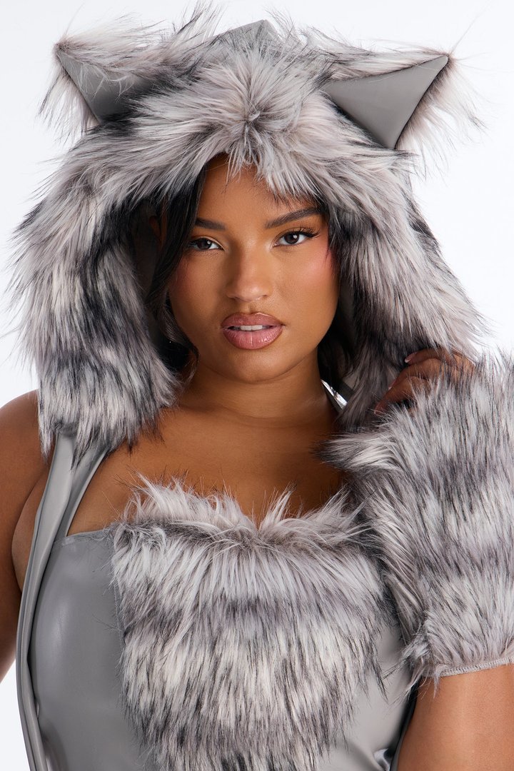 Baby It's Cold Outside 5 Piece Costume Set - Grey/combo