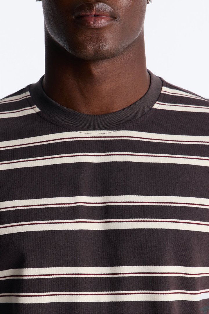 Casey Stripe Crewneck Tee - Brown/combo