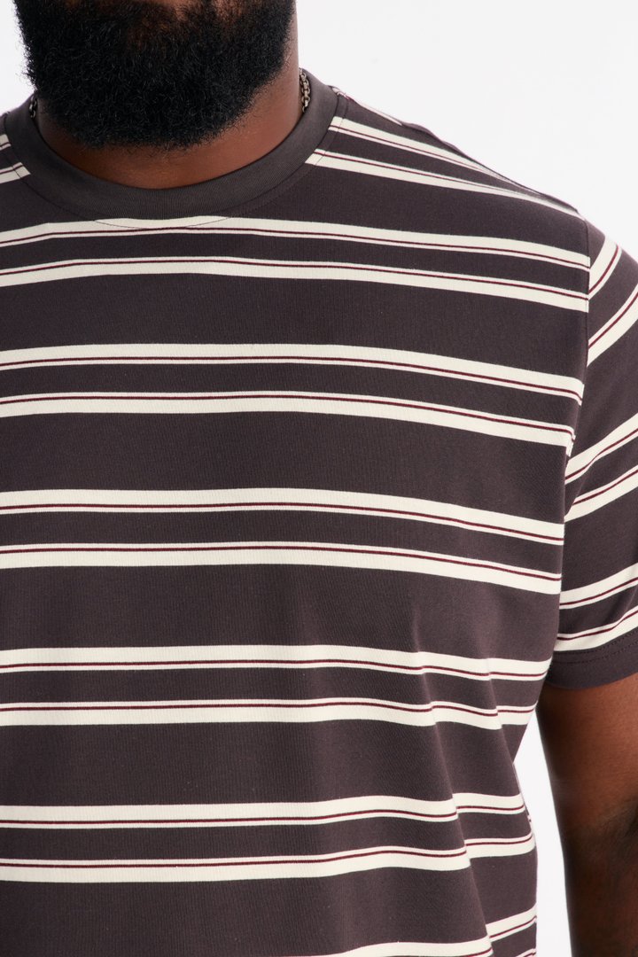 Casey Stripe Crewneck Tee - Brown/combo