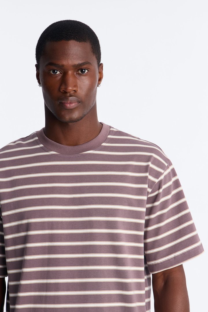 Levitt Stripe Relaxed Crewneck Tee - Purple/combo