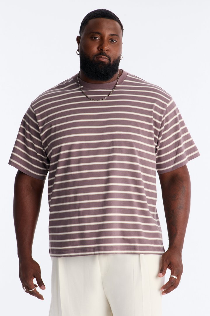 Levitt Stripe Relaxed Crewneck Tee - Purple/combo
