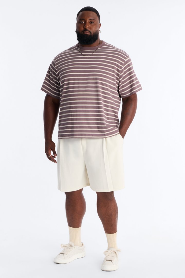 Levitt Stripe Relaxed Crewneck Tee - Purple/combo