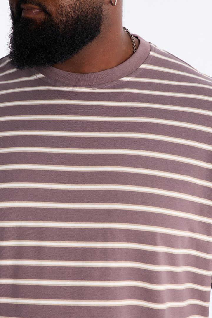 Levitt Stripe Relaxed Crewneck Tee - Purple/combo