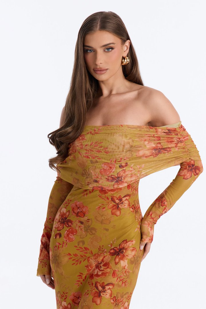 Marie Floral Mesh Maxi Dress - Mustard/combo