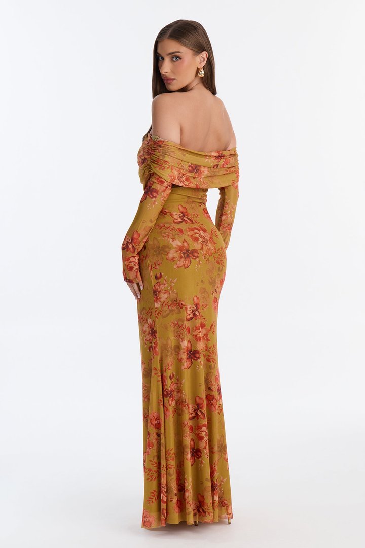 Marie Floral Mesh Maxi Dress - Mustard/combo
