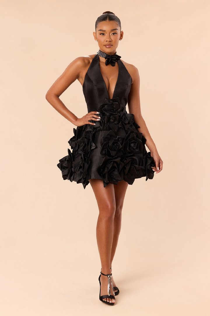 Hallie Chocker Floral Applique Mini Dress - Black