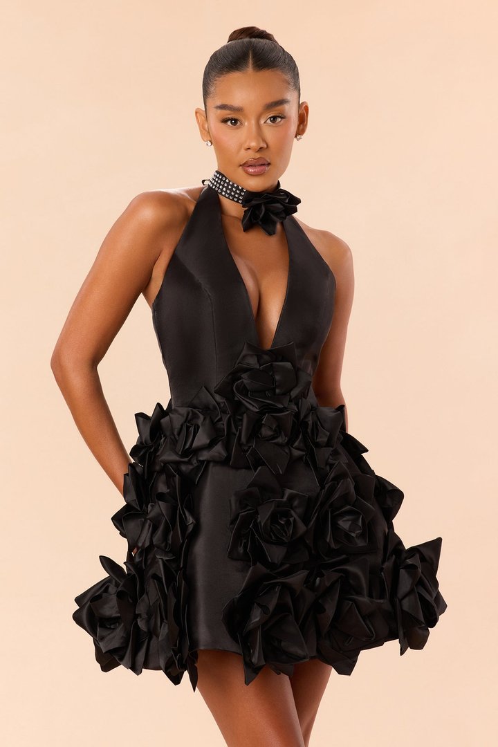 Hallie Chocker Floral Applique Mini Dress - Black
