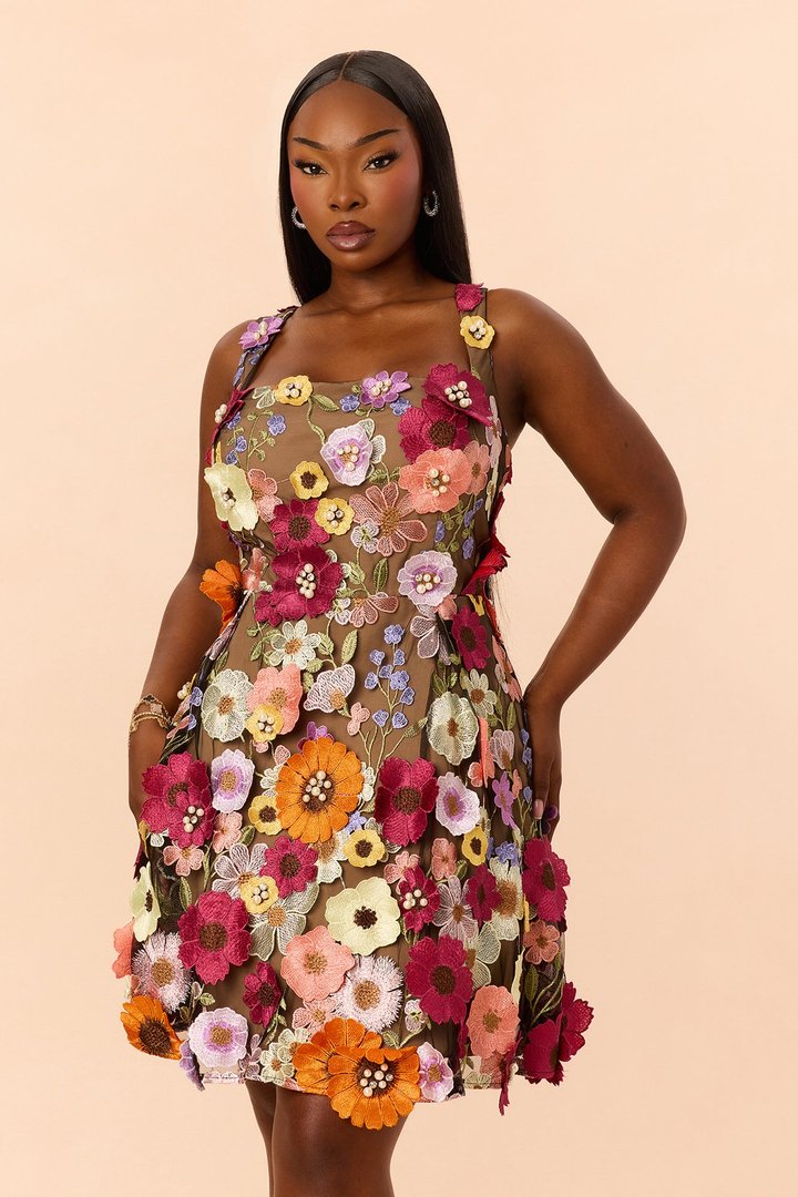 Love Spell Embroidered Mini Dress - Multi Color