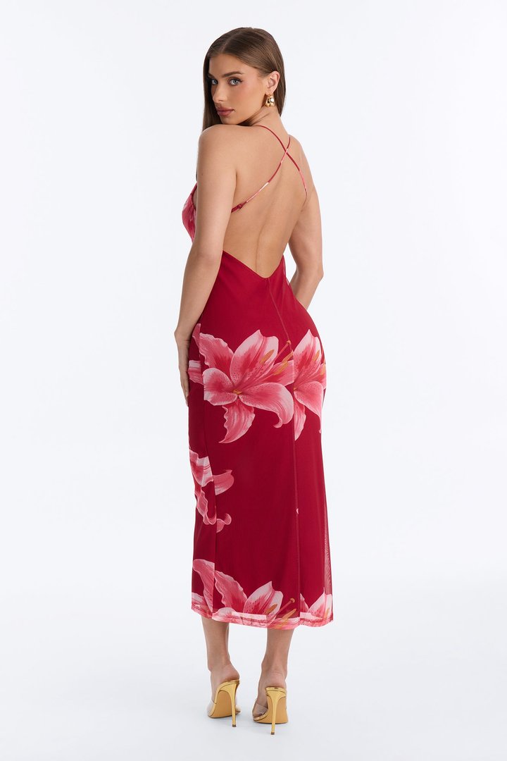 Take Me Away Floral Mesh Maxi Dress - Burgundy