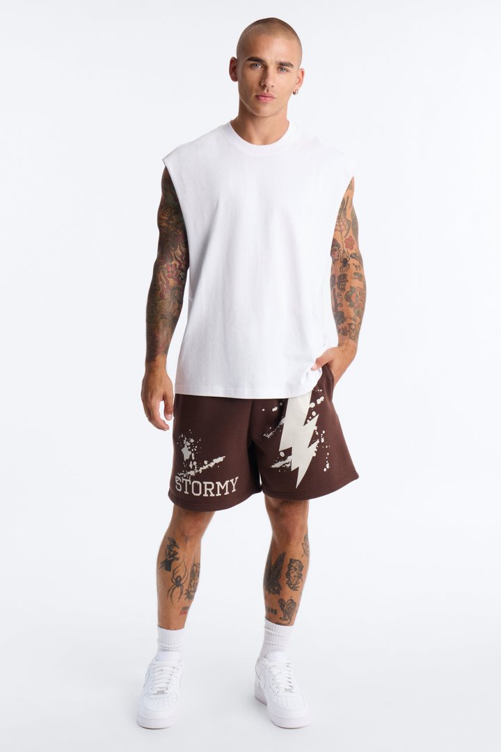 Stormy Night Relaxed Fleece Sweat Short - Brown/combo