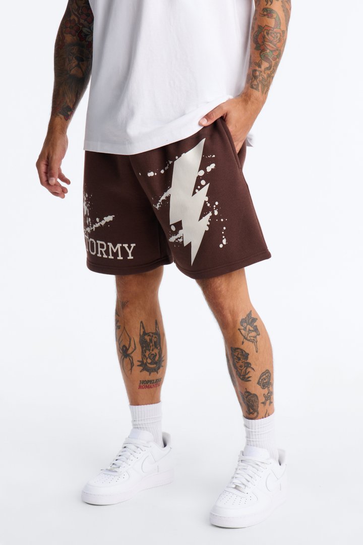 Stormy Night Relaxed Fleece Sweat Short - Brown/combo