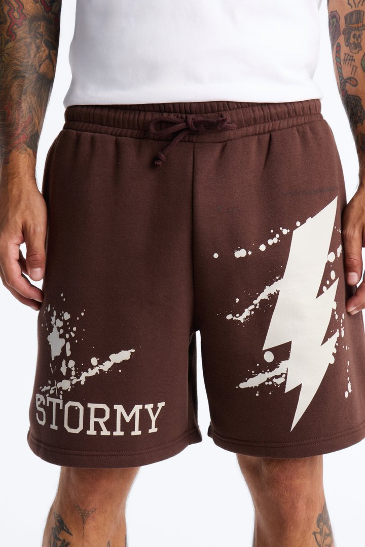 Stormy Night Relaxed Fleece Sweat Short - Brown/combo