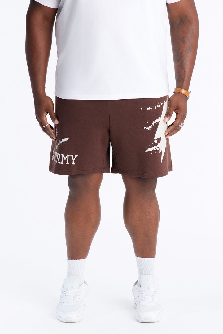 Stormy Night Relaxed Fleece Sweat Short - Brown/combo